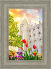 Load image into Gallery viewer, Salt Lake Spring Tulips
