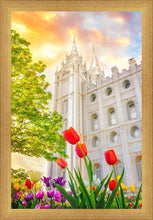 Load image into Gallery viewer, Salt Lake Spring Tulips

