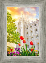 Load image into Gallery viewer, Salt Lake Spring Tulips
