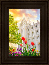 Load image into Gallery viewer, Salt Lake Spring Tulips
