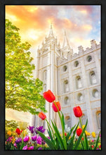 Load image into Gallery viewer, Salt Lake Spring Tulips

