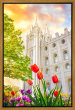 Load image into Gallery viewer, Salt Lake Spring Tulips
