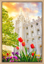 Load image into Gallery viewer, Salt Lake Spring Tulips
