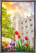 Load image into Gallery viewer, Salt Lake Spring Tulips
