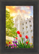 Load image into Gallery viewer, Salt Lake Spring Tulips
