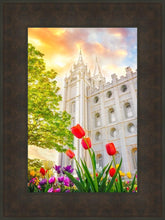 Load image into Gallery viewer, Salt Lake Spring Tulips
