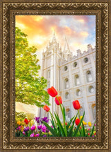 Load image into Gallery viewer, Salt Lake Spring Tulips
