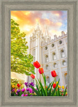 Load image into Gallery viewer, Salt Lake Spring Tulips
