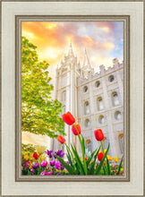 Load image into Gallery viewer, Salt Lake Spring Tulips
