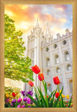 Load image into Gallery viewer, Salt Lake Spring Tulips
