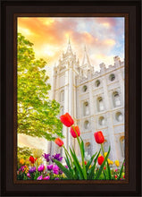 Load image into Gallery viewer, Salt Lake Spring Tulips
