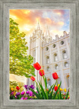 Load image into Gallery viewer, Salt Lake Spring Tulips
