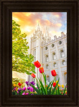 Load image into Gallery viewer, Salt Lake Spring Tulips
