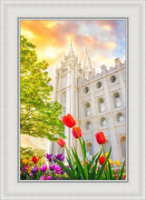 Load image into Gallery viewer, Salt Lake Spring Tulips
