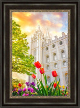 Load image into Gallery viewer, Salt Lake Spring Tulips
