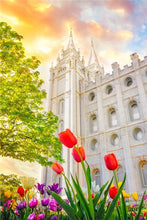 Load image into Gallery viewer, Salt Lake Spring Tulips
