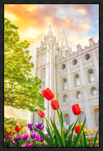 Load image into Gallery viewer, Salt Lake Spring Tulips
