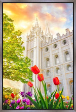 Load image into Gallery viewer, Salt Lake Spring Tulips
