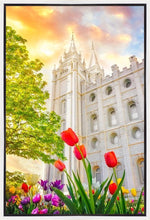 Load image into Gallery viewer, Salt Lake Spring Tulips
