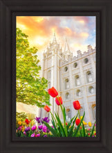 Load image into Gallery viewer, Salt Lake Spring Tulips

