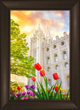 Load image into Gallery viewer, Salt Lake Spring Tulips
