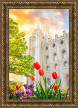 Load image into Gallery viewer, Salt Lake Spring Tulips
