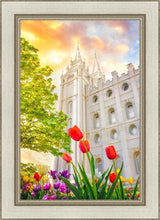 Load image into Gallery viewer, Salt Lake Spring Tulips
