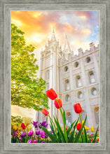 Load image into Gallery viewer, Salt Lake Spring Tulips
