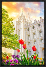 Load image into Gallery viewer, Salt Lake Spring Tulips
