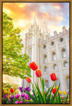 Load image into Gallery viewer, Salt Lake Spring Tulips
