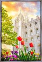 Load image into Gallery viewer, Salt Lake Spring Tulips
