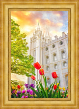 Load image into Gallery viewer, Salt Lake Spring Tulips
