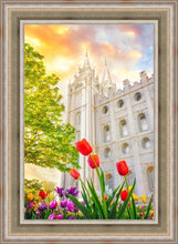 Load image into Gallery viewer, Salt Lake Spring Tulips
