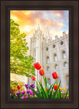 Load image into Gallery viewer, Salt Lake Spring Tulips

