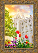 Load image into Gallery viewer, Salt Lake Spring Tulips
