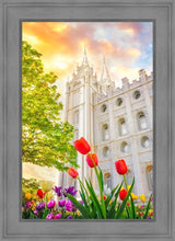 Load image into Gallery viewer, Salt Lake Spring Tulips
