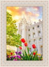 Load image into Gallery viewer, Salt Lake Spring Tulips
