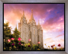 Load image into Gallery viewer, Salt Lake Tulips
