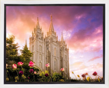 Load image into Gallery viewer, Salt Lake Tulips
