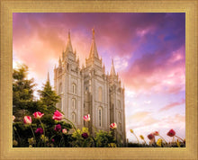 Load image into Gallery viewer, Salt Lake Tulips
