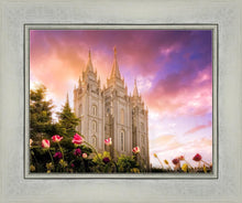 Load image into Gallery viewer, Salt Lake Tulips

