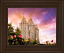 Load image into Gallery viewer, Salt Lake Tulips

