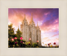 Load image into Gallery viewer, Salt Lake Tulips
