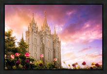 Load image into Gallery viewer, Salt Lake Tulips
