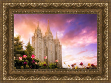 Load image into Gallery viewer, Salt Lake Tulips
