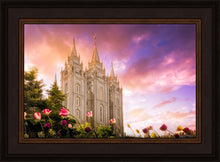Load image into Gallery viewer, Salt Lake Tulips
