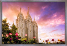 Load image into Gallery viewer, Salt Lake Tulips
