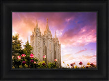 Load image into Gallery viewer, Salt Lake Tulips
