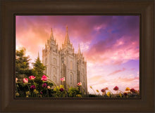 Load image into Gallery viewer, Salt Lake Tulips
