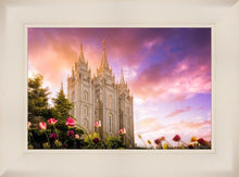 Load image into Gallery viewer, Salt Lake Tulips
